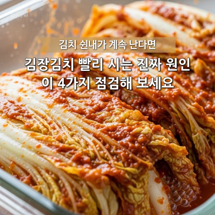  아니 왜 우리집만.. 김장 김치 빨리 쉬는 이유 다들 놓치는 실수 1가지
