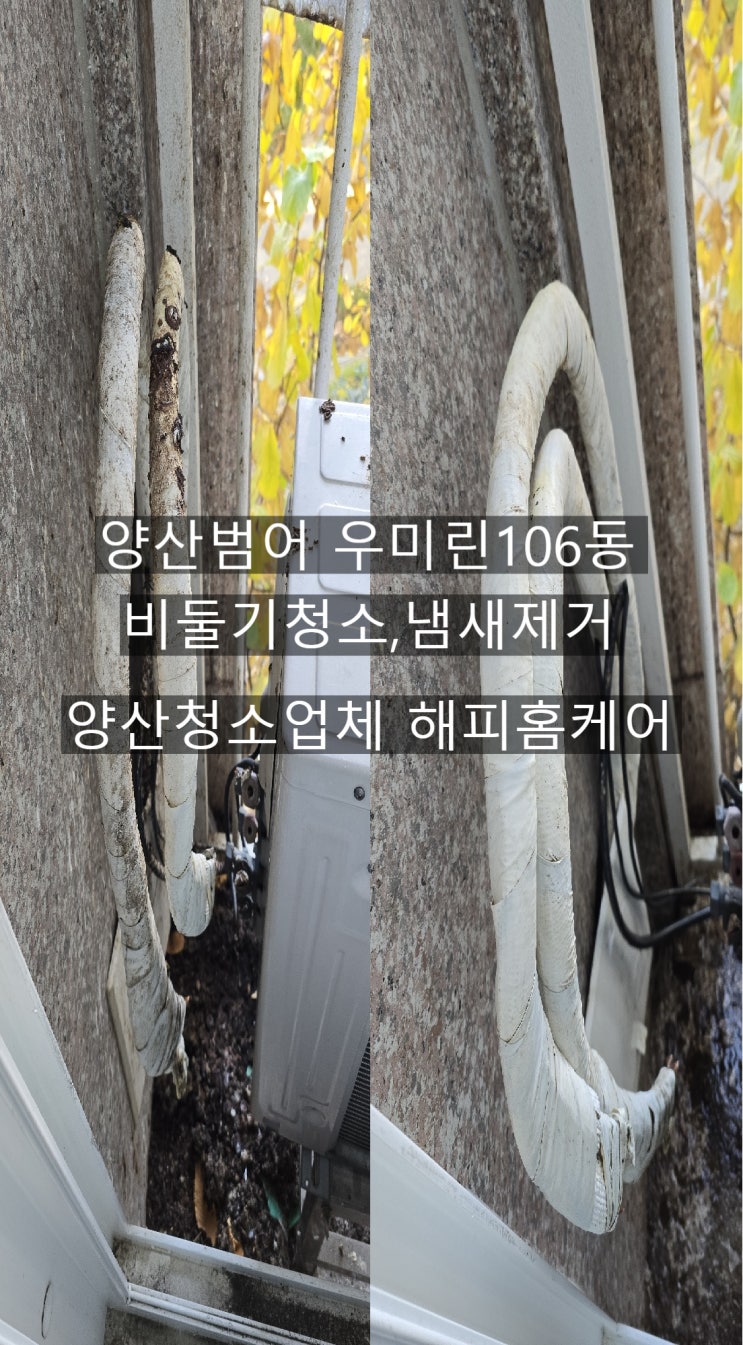  양산범어 우미린106동 비둘기[퇴치]청소 배관청소 바닥똥청소 철재난간청소 냄새제거 고압스팀청소~양산해피홈케어