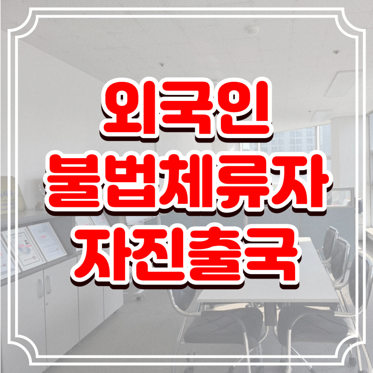  불법체류자 외국인 자진출국 기간