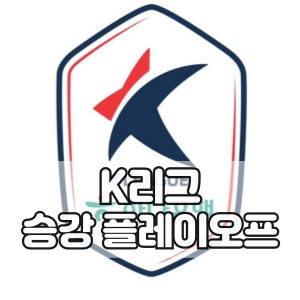 2025 K리그 <b>승강</b>플레이오프... 정리 / 12.4 <b>폭설</b> 일정 <b>연기</b>