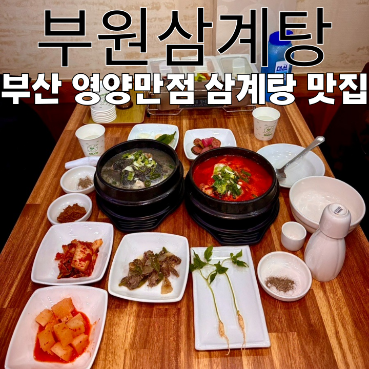  양정동맛집 부원삼계탕 : 2대째 이어지는 영양만점 삼계탕 전문점 [부산 시청]