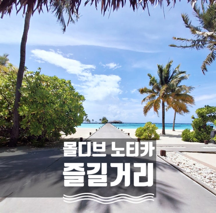  몰디브 내돈내산 숙소 후기 ③ 노티카 리조트, 즐길 것들