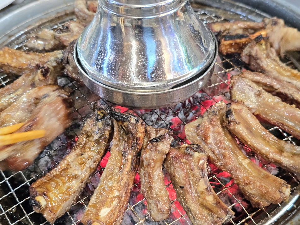 도니돼지 사진 1