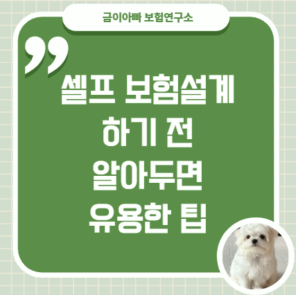 셀프보험설계 이것만 알아도 충분히 가능하다!