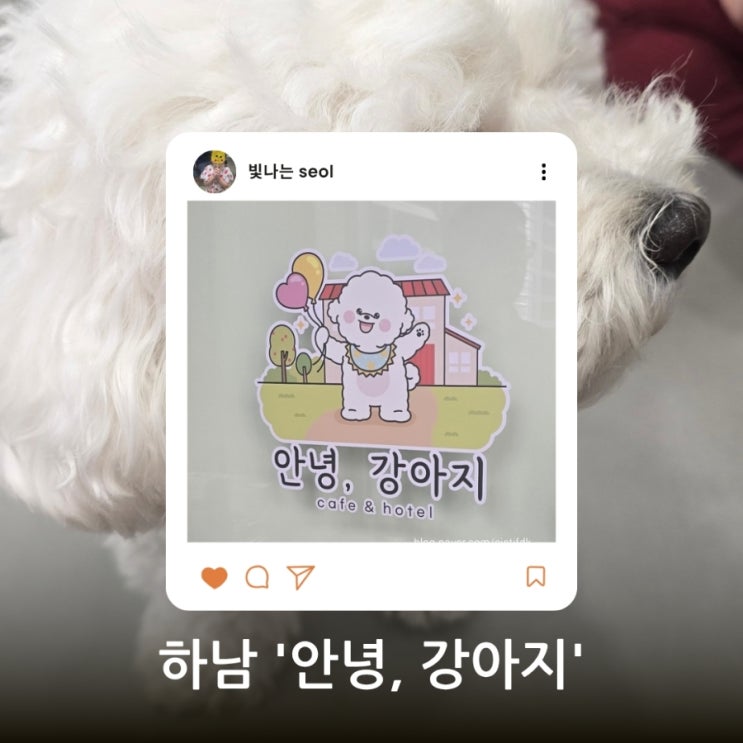  안녕,강아지. 강아지 카페 다녀온 후기