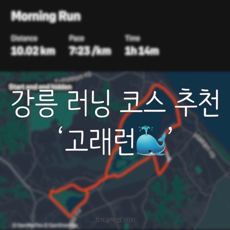 강릉 러닝코스 고래런 러닝 좋아하면 꼭 가봐야 할 코스