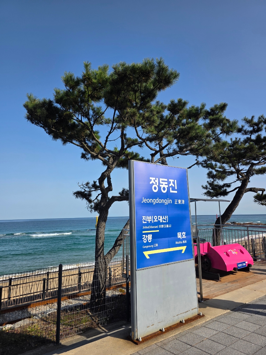 경포썬앤문펜션 사진 4