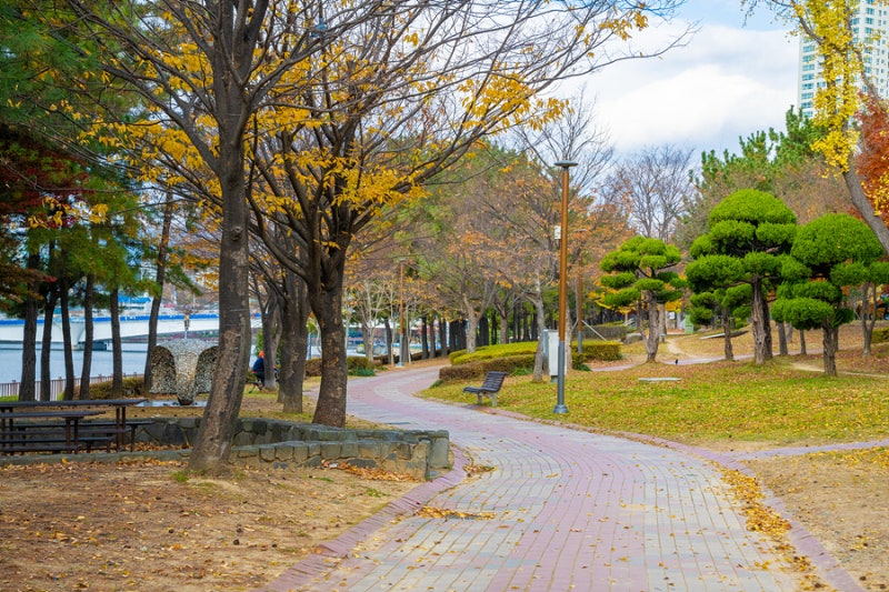 사진 6