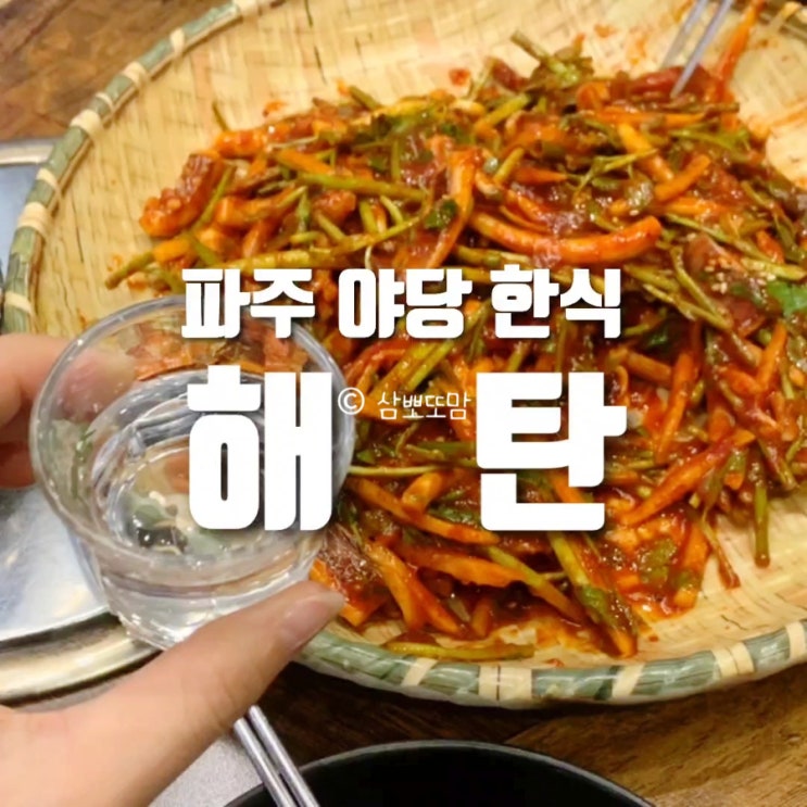  파주 한식 맛집 ‘해탄’ | 야당 점심·야당 회식 모두 완벽했던 식당