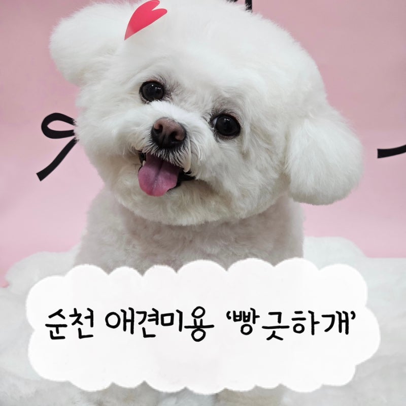 사진 2