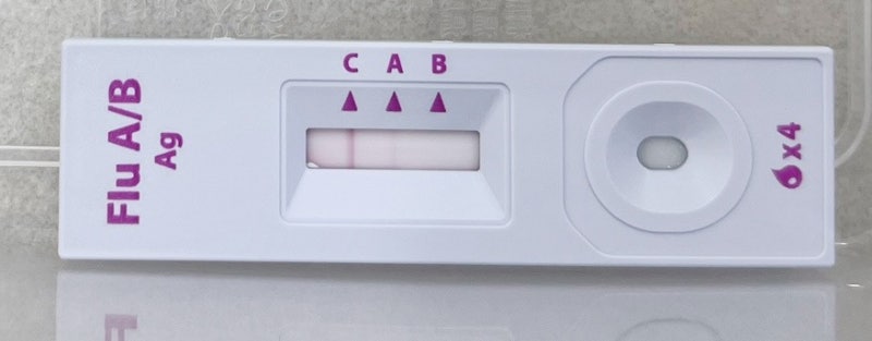 독감 유행 대비 필수보험｜카카오페이 독감항바이러스 치료비 보장 후기