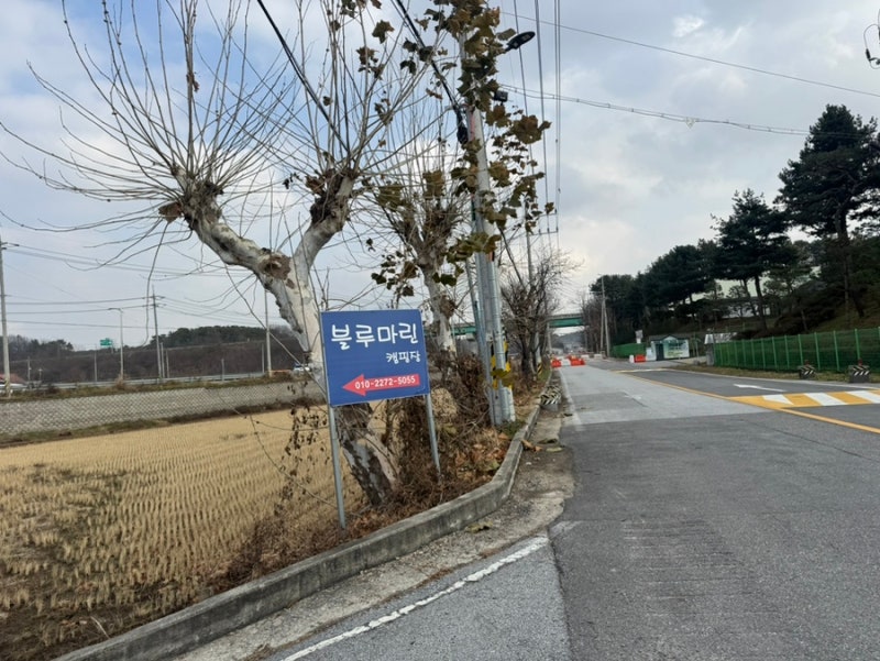 사진 2