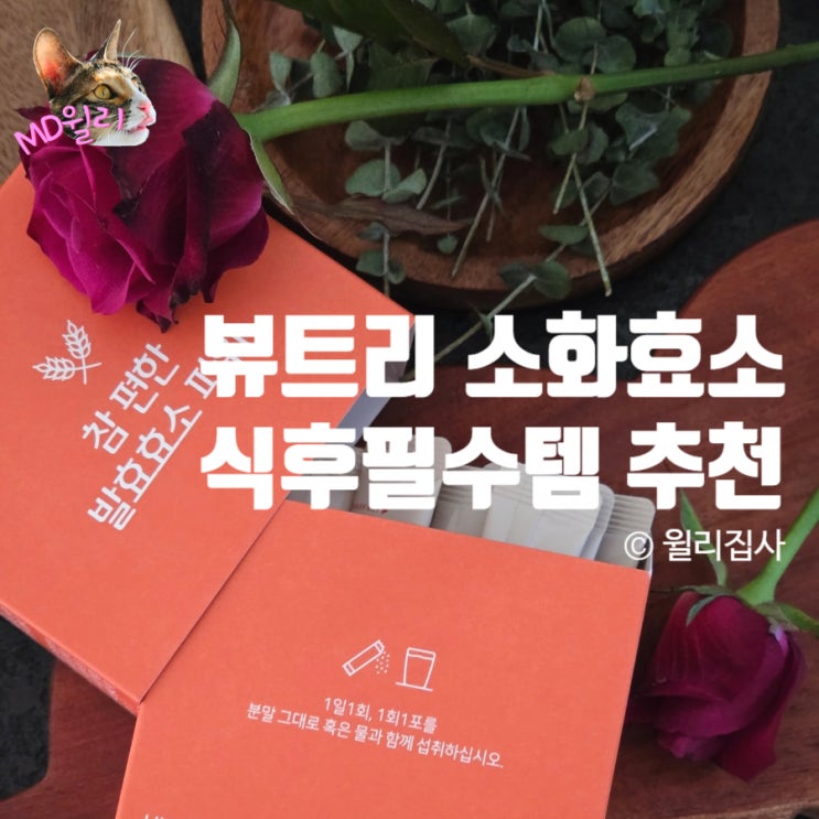  소화효소 추천 뷰트리 참 편한 발효효소 파워 식후필수템
