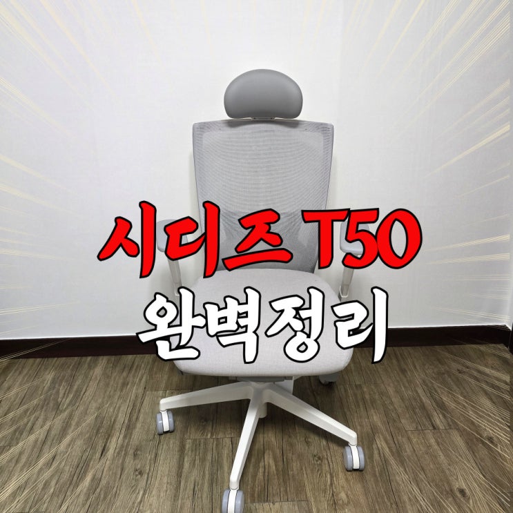  시디즈 T50 HLDA 의자 구매 이유 (+ 후기, 최저가, 사용법, 풀옵션 차이 등)