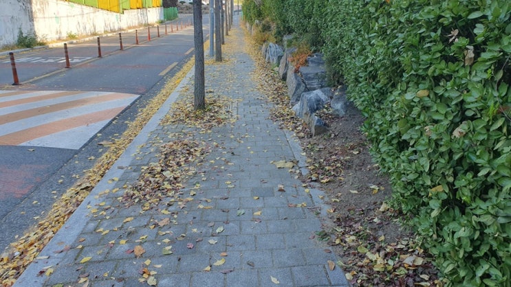  부산 버스 분실물 찾기 전화로 가장 빠르게 해결하는 방법
