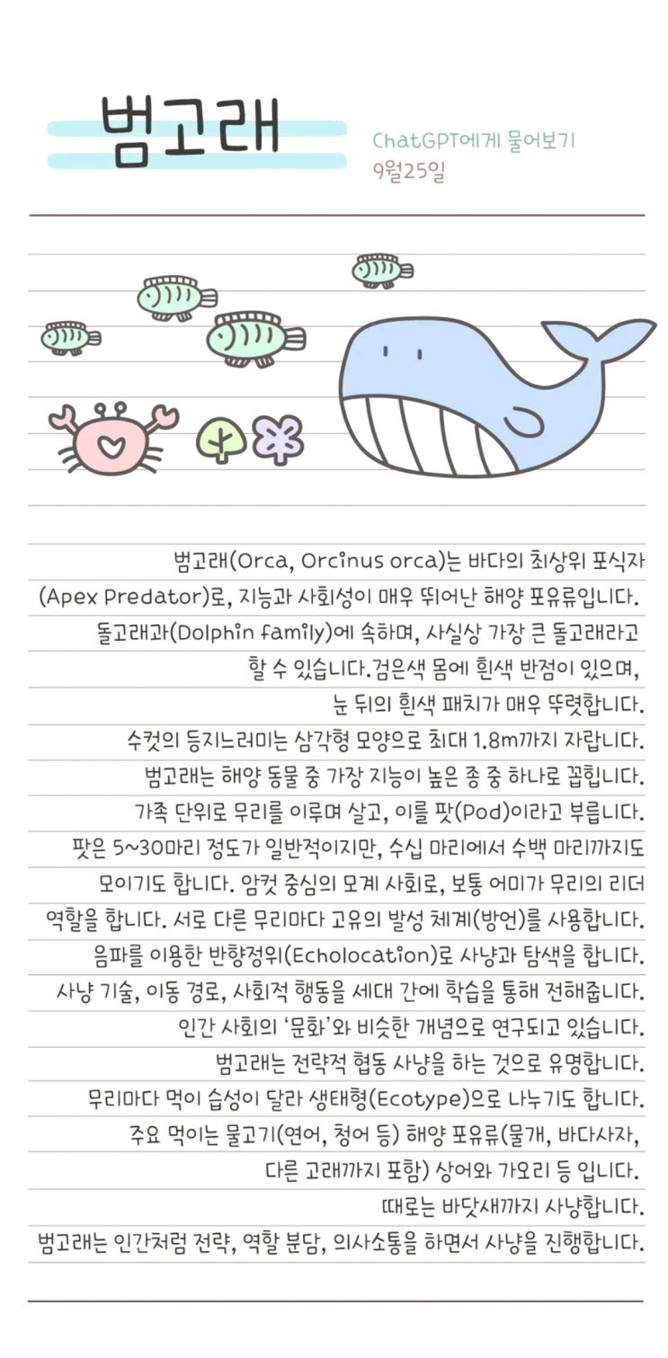  갤럭시 폰트 추천 5 - cat추항해고래얇게
