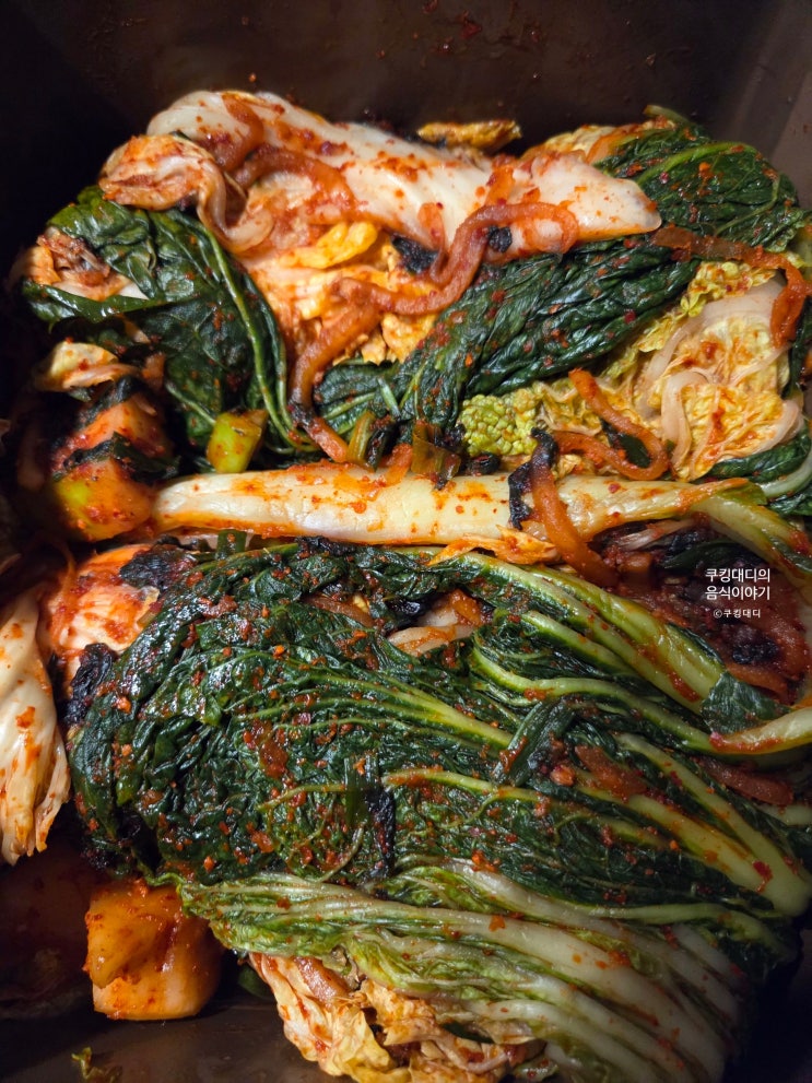 절임배추 20kg 기준, 맛있는 김장양념 완벽 계량 레시피와 김치 담그는 법 2025년