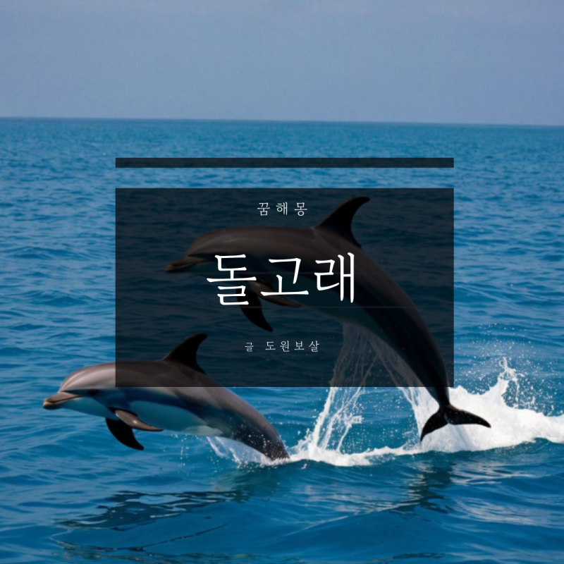 돌고래 꿈 해몽과 상징, 길몽과 흉몽 풀이
