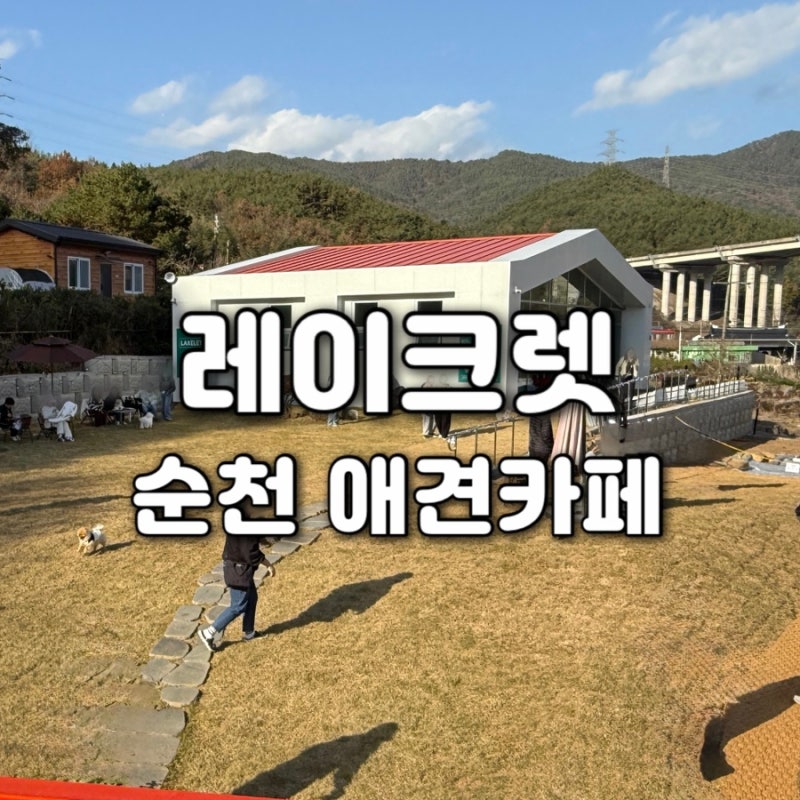 사진 9