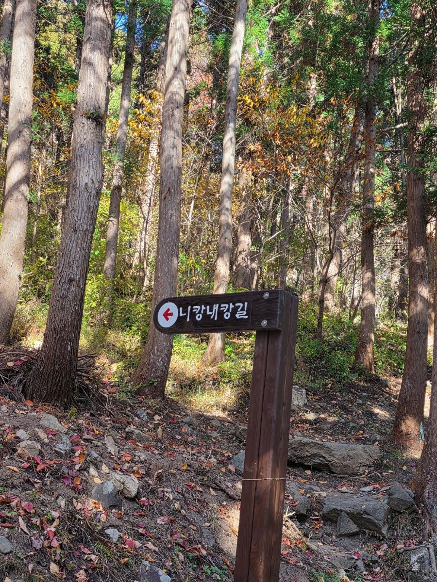 자연밥상 사진 4