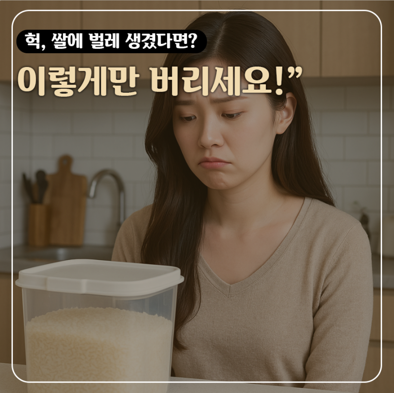 아침에 쌀통 열고 멈칫 쌀벌레 득실 이렇게 버려야 냄새 안나요