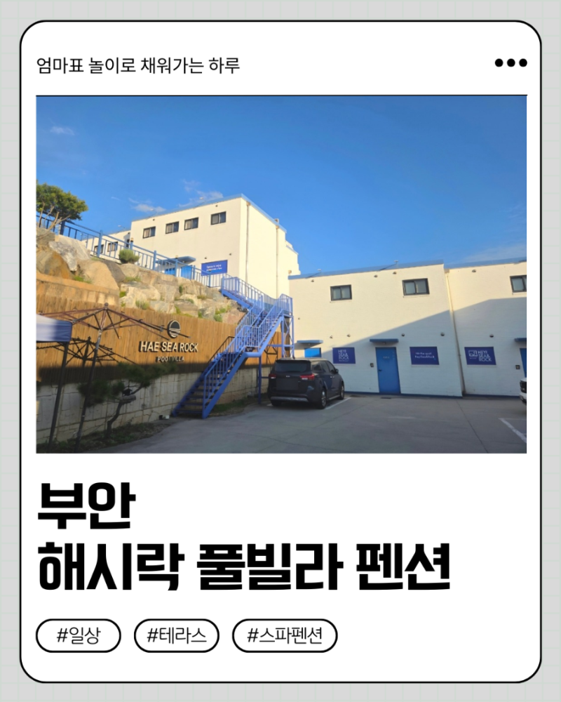 사진 7