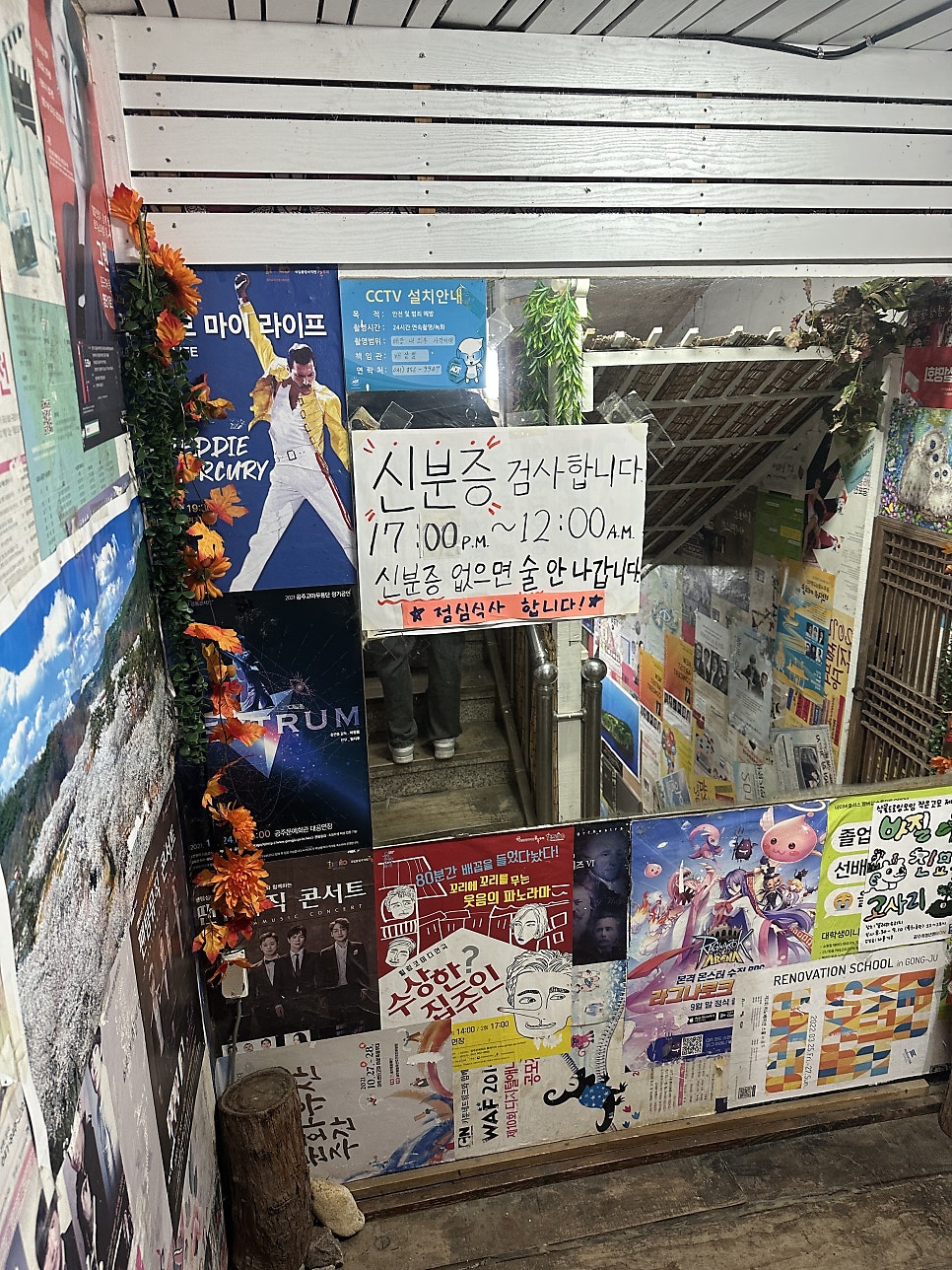 까치집 사진 4