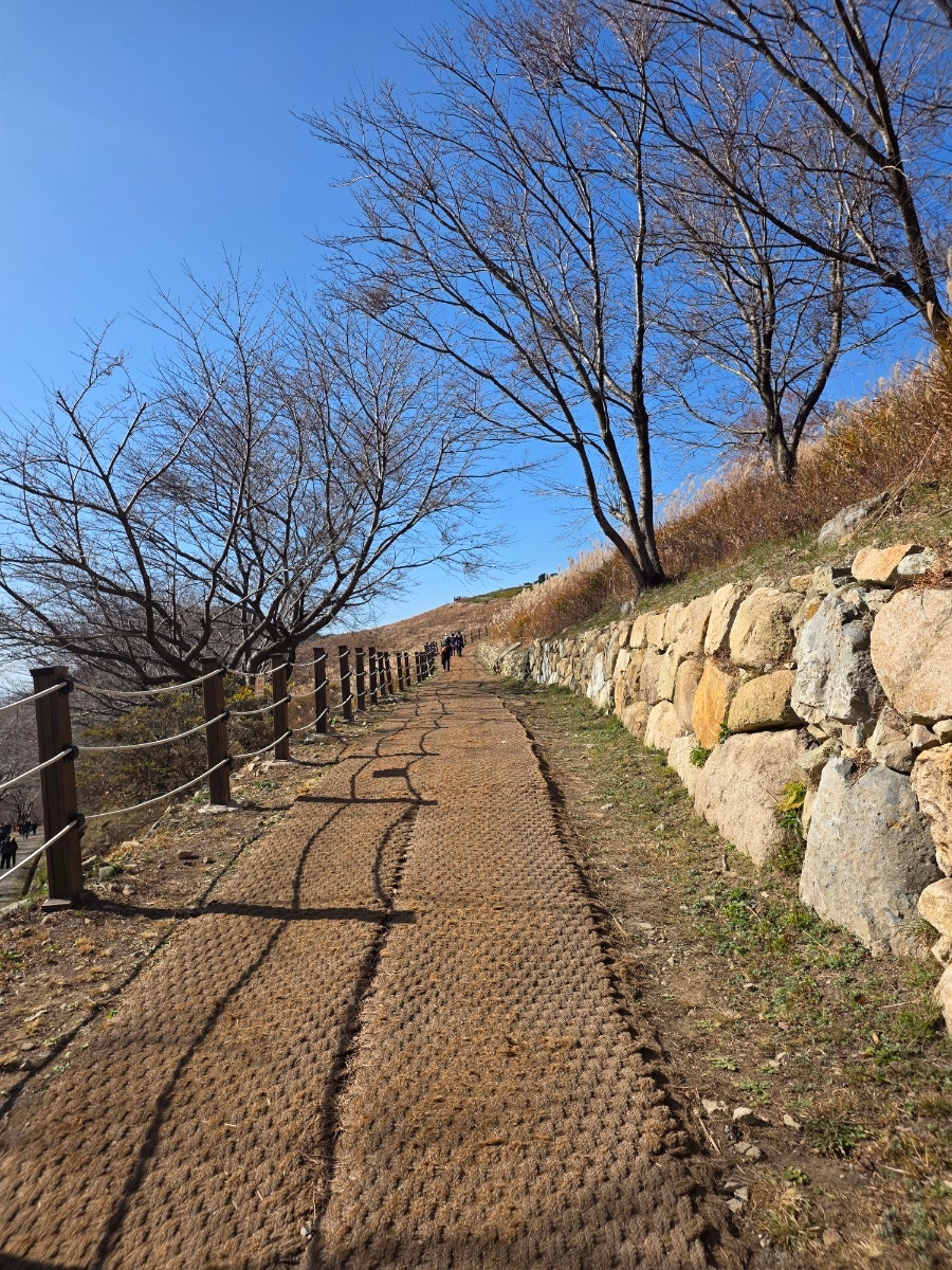 자연밥상 사진 2