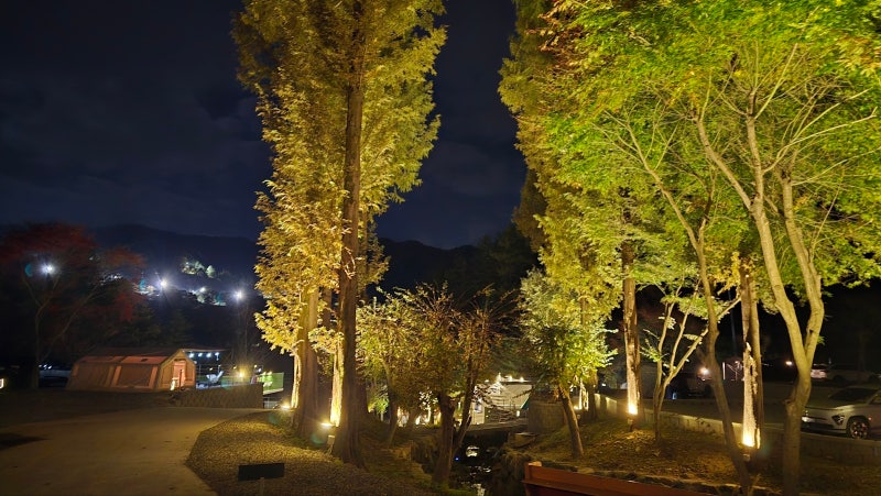 [경기 가평] 캠프 네버랜드 : A13