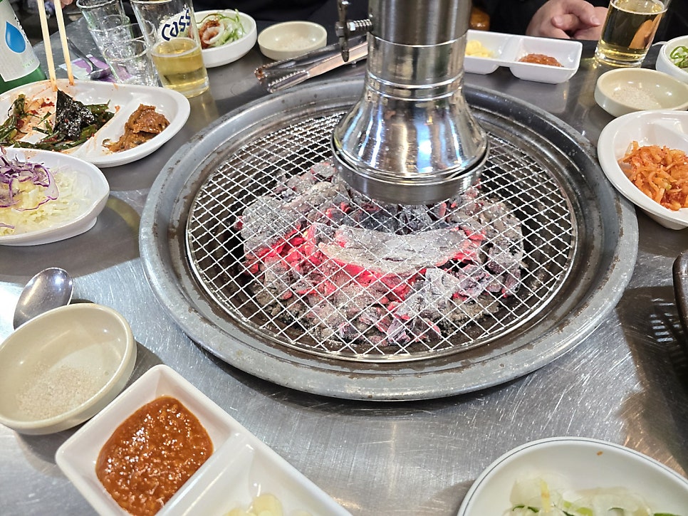 도니돼지 사진 5