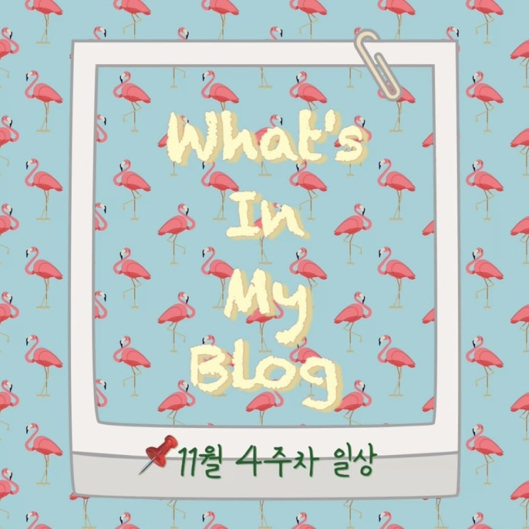  11월 4주 차 일상 정리 왓츠인마이블로그 블챌