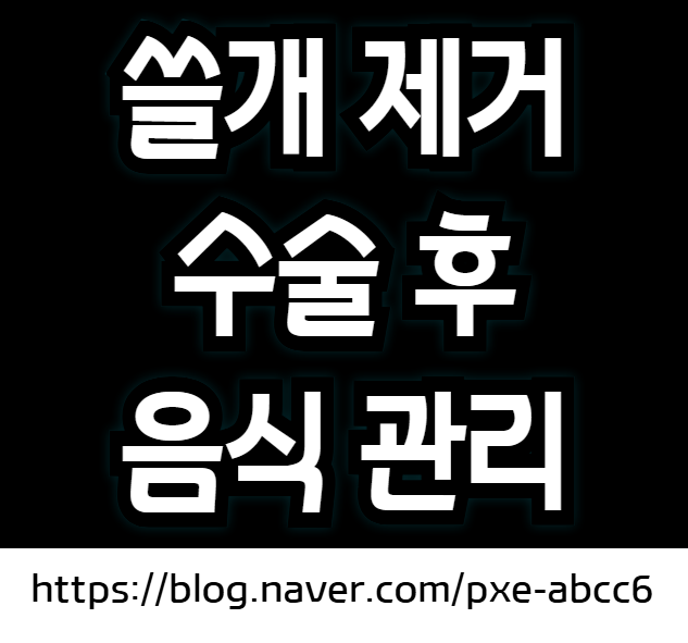 쓸개 제거 수술후 좋은 음식 (쓸개 제거후 피해야 하는 음식)