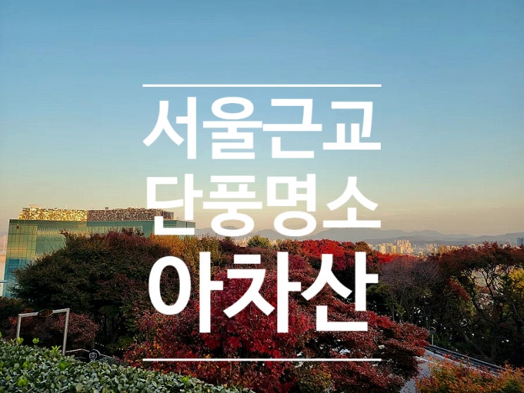 서울 근교 단풍 명소 아차산 힐링포레스트 워커힐호텔