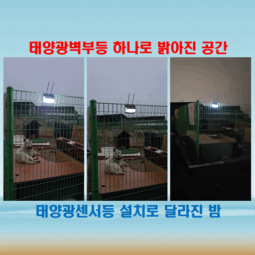  태양광센서등 설치로 바뀐 화장실 앞 풍경, 진돗개도 안심해요!