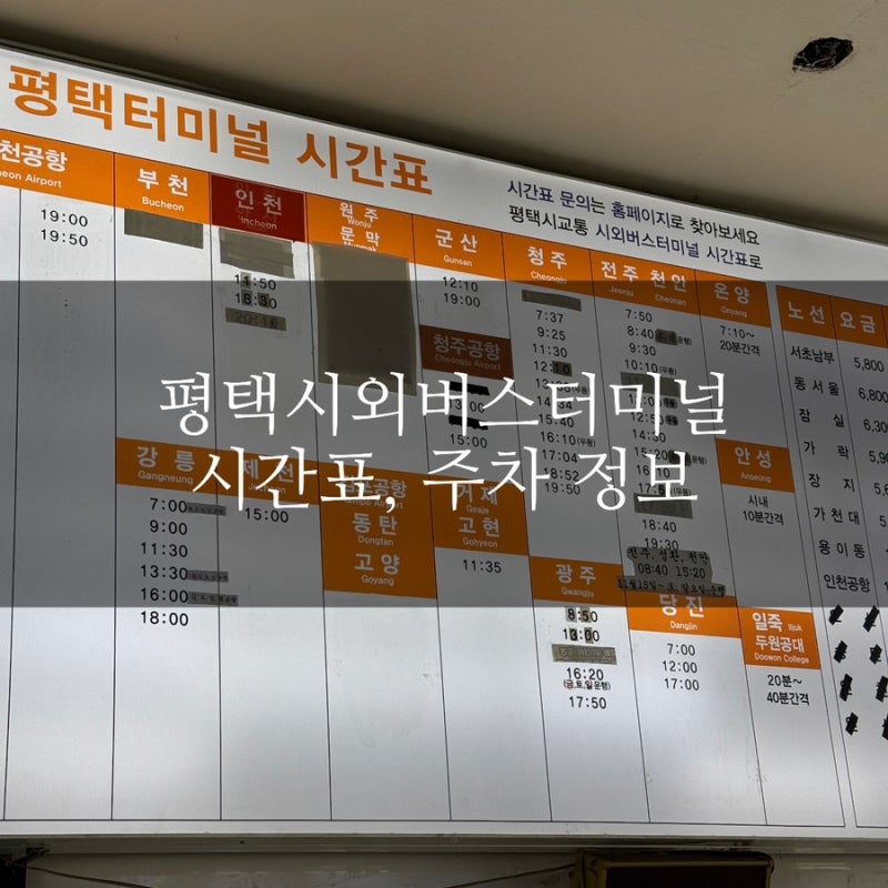 #173 평택 시외버스터미널 가기 전 꼭 읽어야하는 노선, 시간표, 주차, 표사는 곳 상세 정리