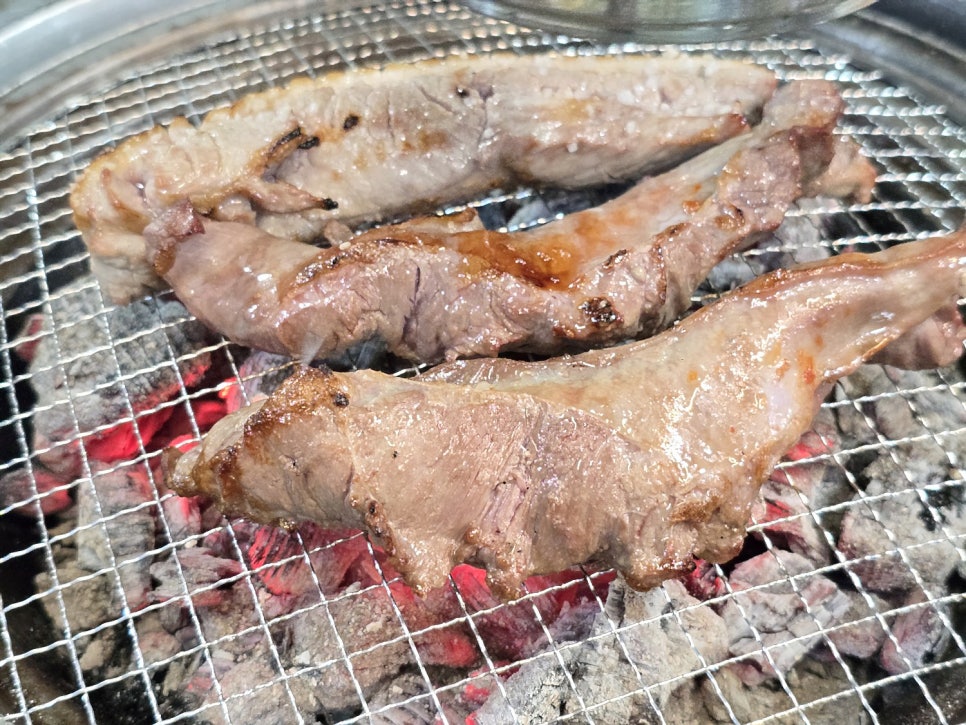 도니돼지 사진 6