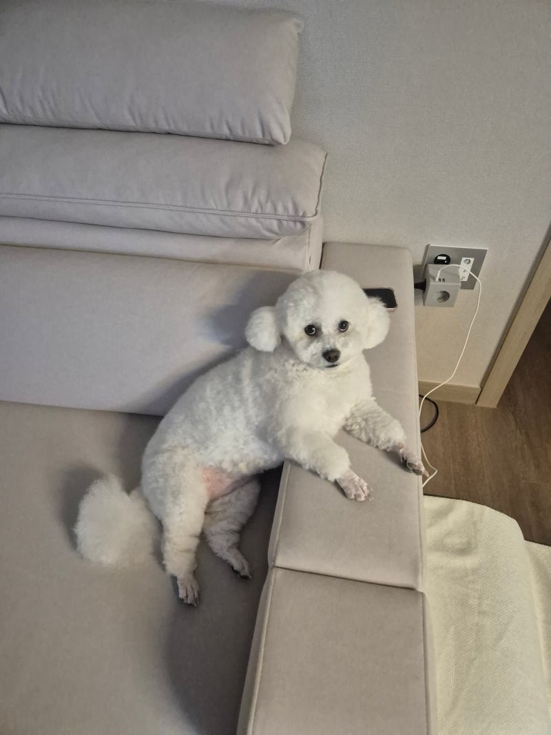 사진 13