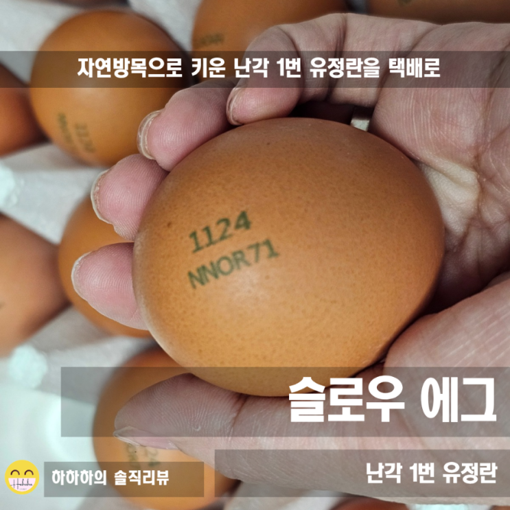  건강한닭 자연방목 유정란 난각1번을 택배로, 슬로우에그