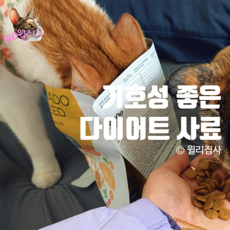  나투라 다이어트 캣 기호성 좋은 고양이 체중관리 사료