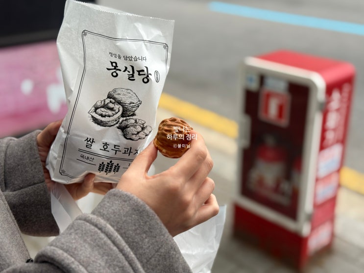 서울 빵집 신당역 몽실당 치즈 대왕카스테라와 쌀호두과자
