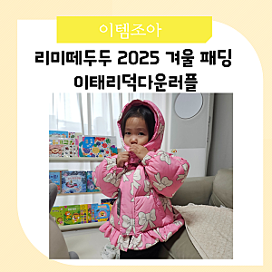 리미떼두두 패딩 2025 겨울옷 아우터 S사이즈 비교 실착