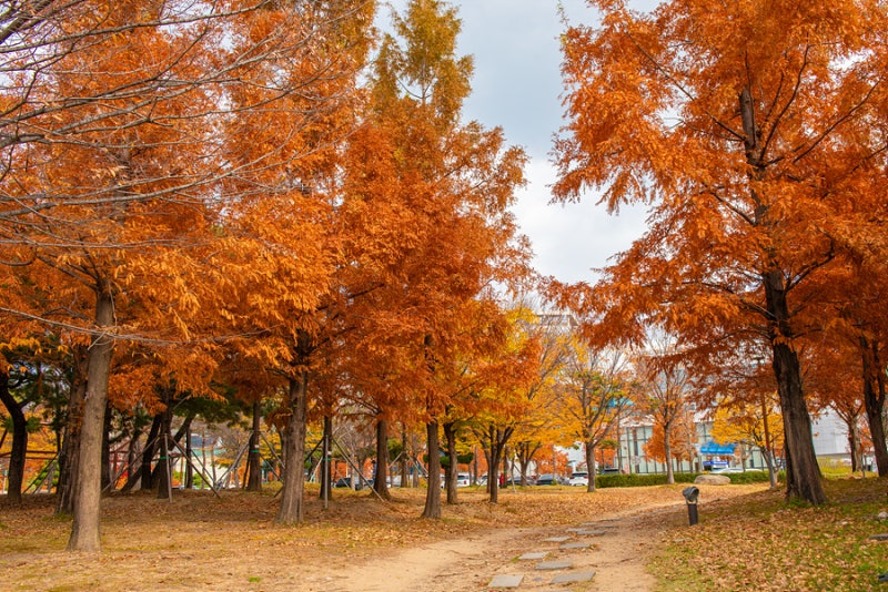 사진 5