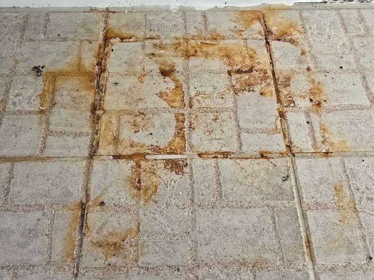  부산입주청소잘하는곳 곰팡이, 녹물까지 확실한 제거로 입주 준비 끝!