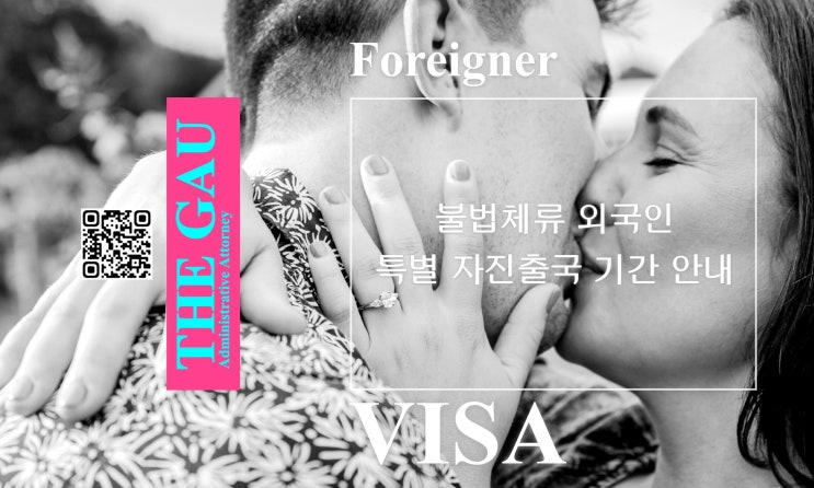 불법체류 외국인 특별 자진출국 기간 안내(2025년 12월 1일 기준)