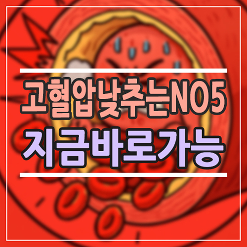  고혈압 낮추는 방법 5가지｜지금 바로 실천 가능한 혈압 관리법