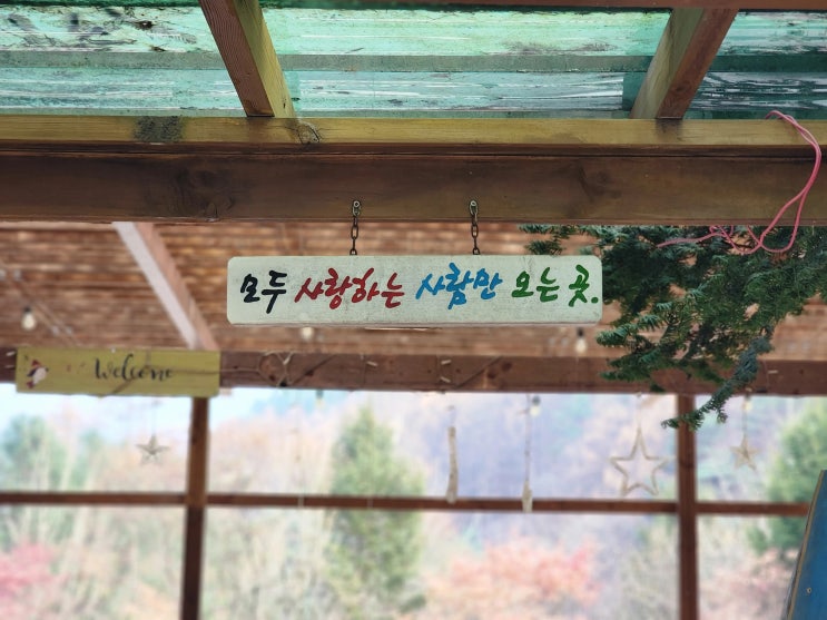  원주 펜션 추천! 피노키오숲 올인클루시브 패키지 솔직 후기