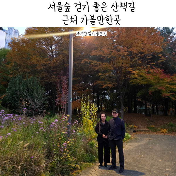  서울숲 단풍 가을 산책 데이트 근처 가볼만한곳