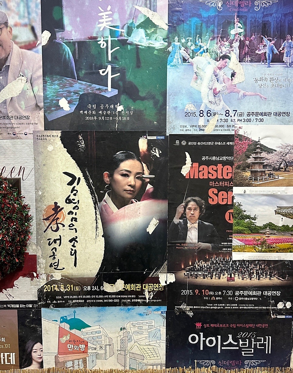 까치집 사진 5
