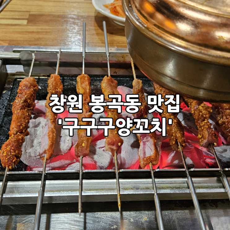  창원 봉곡동 맛집 '구구구양꼬치' | 양갈비살부터 꿔바로우, 마파두부까지 먹어본 후기