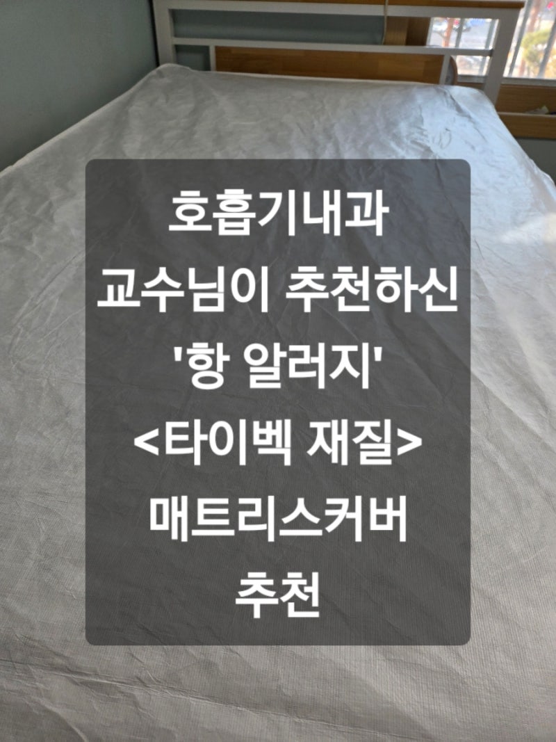 호흡기내과 교수님이 추천! 침대매트리스 진드기가 득실득실_항알레르기 커버_듀폰 타이벡....